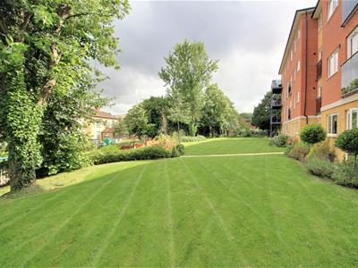 Picture 14